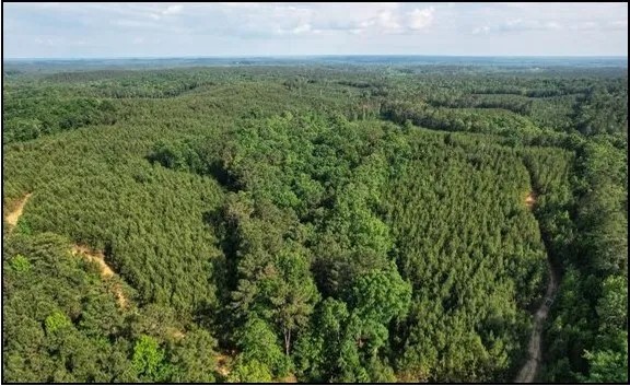 174 Acres in Montgomery County in Vaiden MS featured image