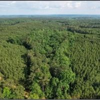 174 Acres in Montgomery County in Vaiden MS images 1
