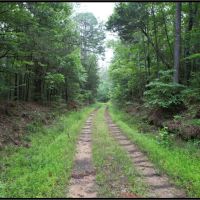 174 Acres in Montgomery County in Vaiden MS images 2
