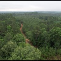 174 Acres in Montgomery County in Vaiden MS images 3