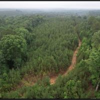 174 Acres in Montgomery County in Vaiden MS images 4