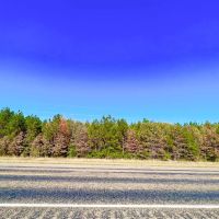 12.5 Acres US Highway 287 5A images 3