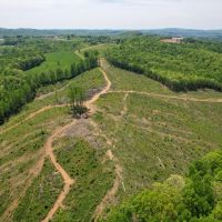 70 Acres in Carroll County Virginia images 3