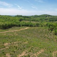 70 Acres in Carroll County Virginia images 4