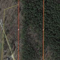 8 - Acres Mature Timber Stone County Near Prim Arkansas