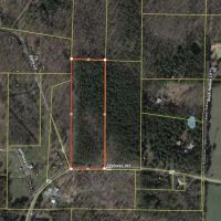 8 - Acres Mature Timber Stone County Near Prim Arkansas images 3