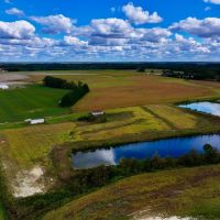 22.8 acres of Farm and Timber Land For Sale in Greene County NC images 4