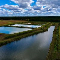 22.8 acres of Farm and Timber Land For Sale in Greene County NC images 5