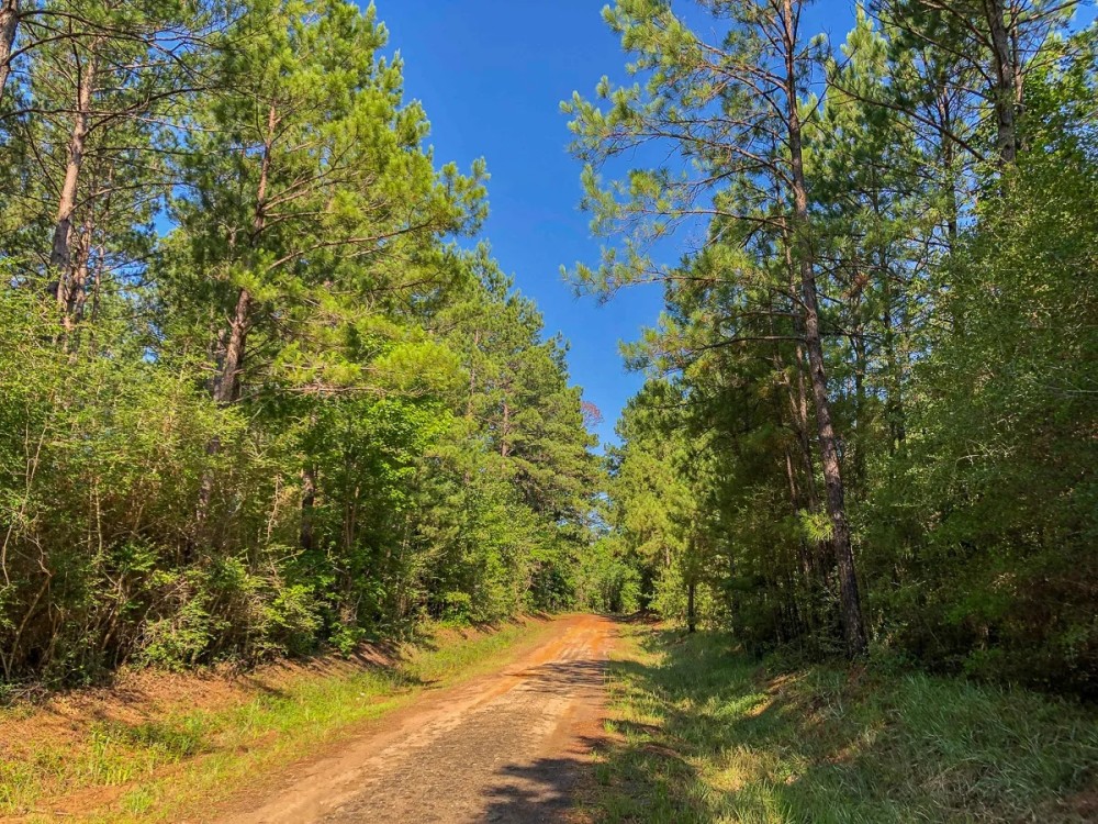 28 Acres T-5 Saron featured image