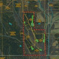 Oktibbeha County - Crawford 265 Acres Big Deer Turkeys Timber images 3