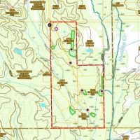 Oktibbeha County - Crawford 265 Acres Big Deer Turkeys Timber images 5
