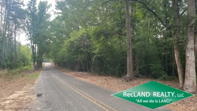 56 ac - Wooded Tract for Rural Home Site featured image