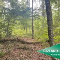 56 ac - Wooded Tract for Rural Home Site images 2