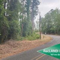 56 ac - Wooded Tract for Rural Home Site images 3