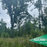 56 ac - Wooded Tract for Rural Home Site images 4