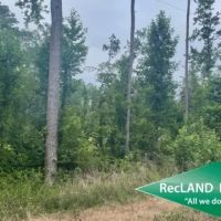 56 ac - Wooded Tract for Rural Home Site images 5
