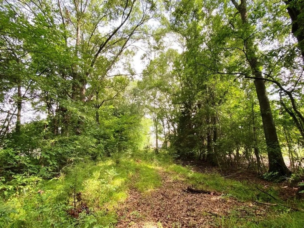 20 Acre Lake and Homesite in Huntsville featured image