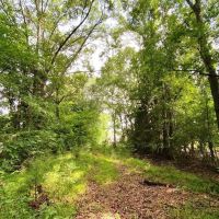 20 Acre Lake and Homesite in Huntsville