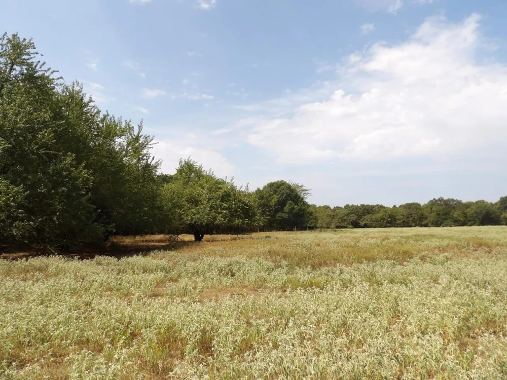 RANCH AND RECREATIONAL 520 ACRES BOSWELL CHOCTAW CO. OKLA. featured image