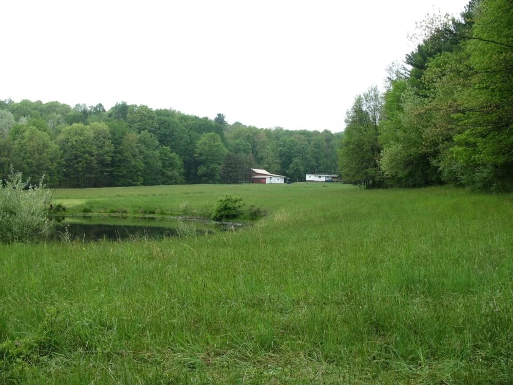 Homesteader s Haven featured image
