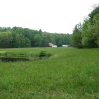 Homesteader s Haven