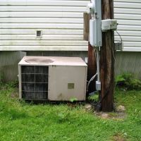 Homesteader s Haven images 5
