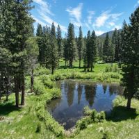 Whitehawk Meadows Ranch South images 4