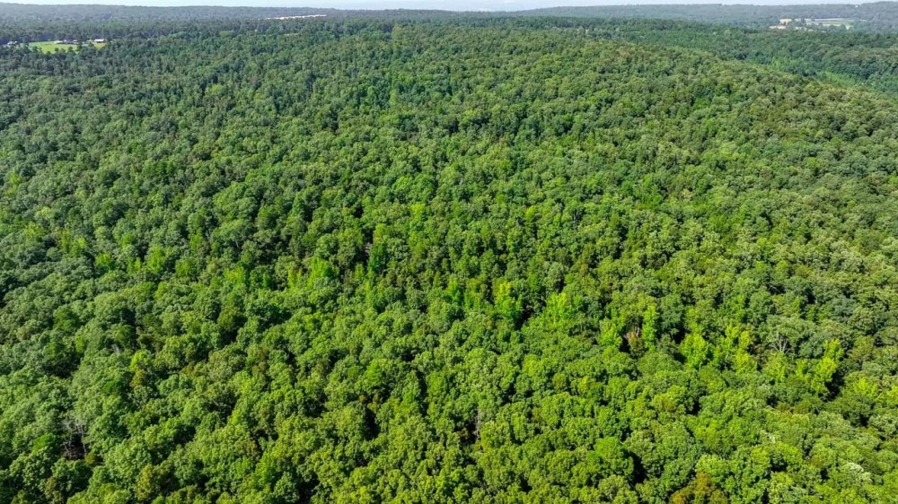 120 - Acres Hunting Land Mature Timber Floral Arkansas featured image