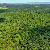 120 - Acres Hunting Land Mature Timber Floral Arkansas images 4