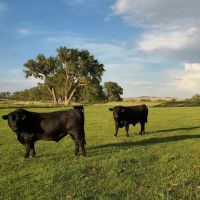 Historic Lower Laramie River Ranch