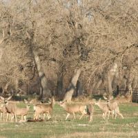 Historic Lower Laramie River Ranch images 4