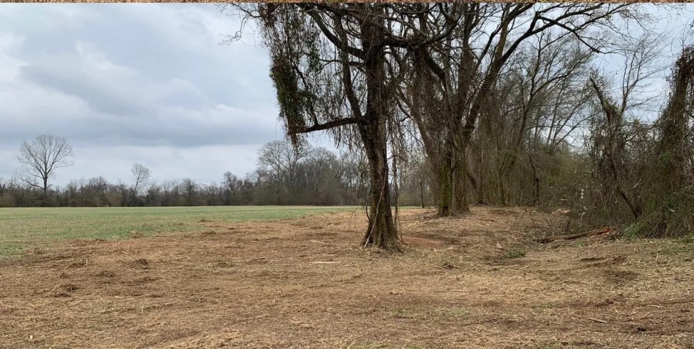 3 Acres on Ouachita River in Hot Spring Co featured image