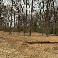 3 Acres on Ouachita River in Hot Spring Co images 2