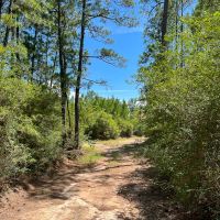 250 Acres FM 3152 images 2