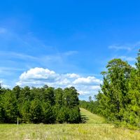 250 Acres FM 3152 images 5