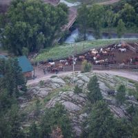 Rainbow Trout Ranch images 4
