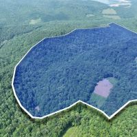 A Hunters Dream Excellent hunting recreational property. 140.47 acres in the Wolf Creek area of DeKalb County TN images 2
