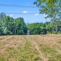 A Hunters Dream Excellent hunting recreational property. 140.47 acres in the Wolf Creek area of DeKalb County TN images 3