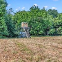 A Hunters Dream Excellent hunting recreational property. 140.47 acres in the Wolf Creek area of DeKalb County TN images 4