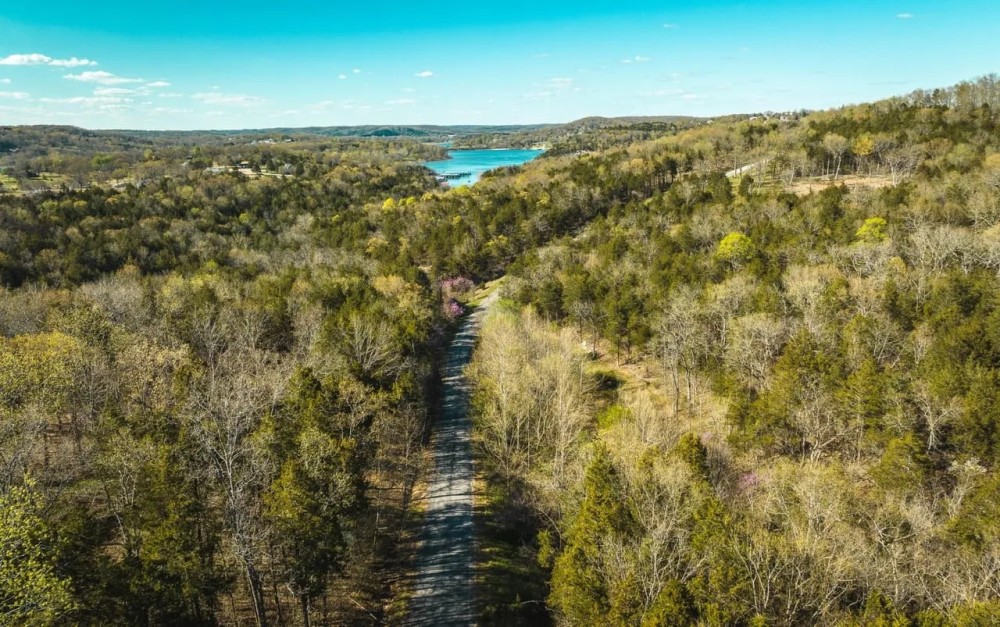 Bear Den Hollow featured image