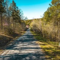 Bear Den Hollow images 5