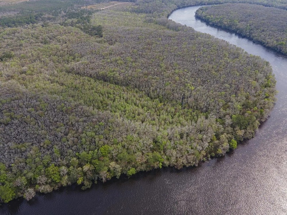 NW 140th CT Chiefland FL featured image