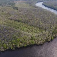 NW 140th CT Chiefland FL