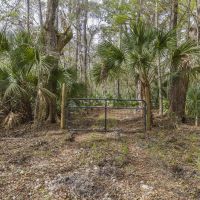 NW 140th CT Chiefland FL images 4