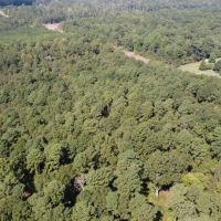 Evergreen 30 West images 3