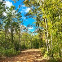 29-113-gravel-creek-farmstead images 2