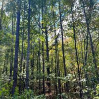 29-113-gravel-creek-farmstead images 3