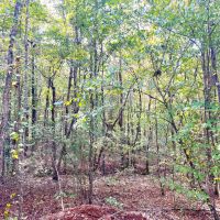 29-113-gravel-creek-farmstead images 4