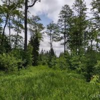 Great Wildlife Viewing Hunting 50113876 images 2