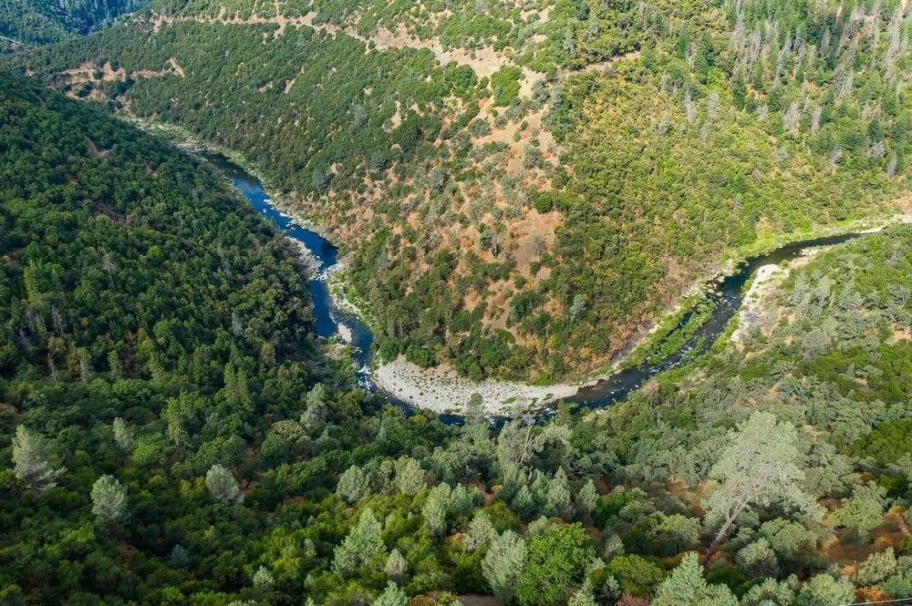 American River Property featured image